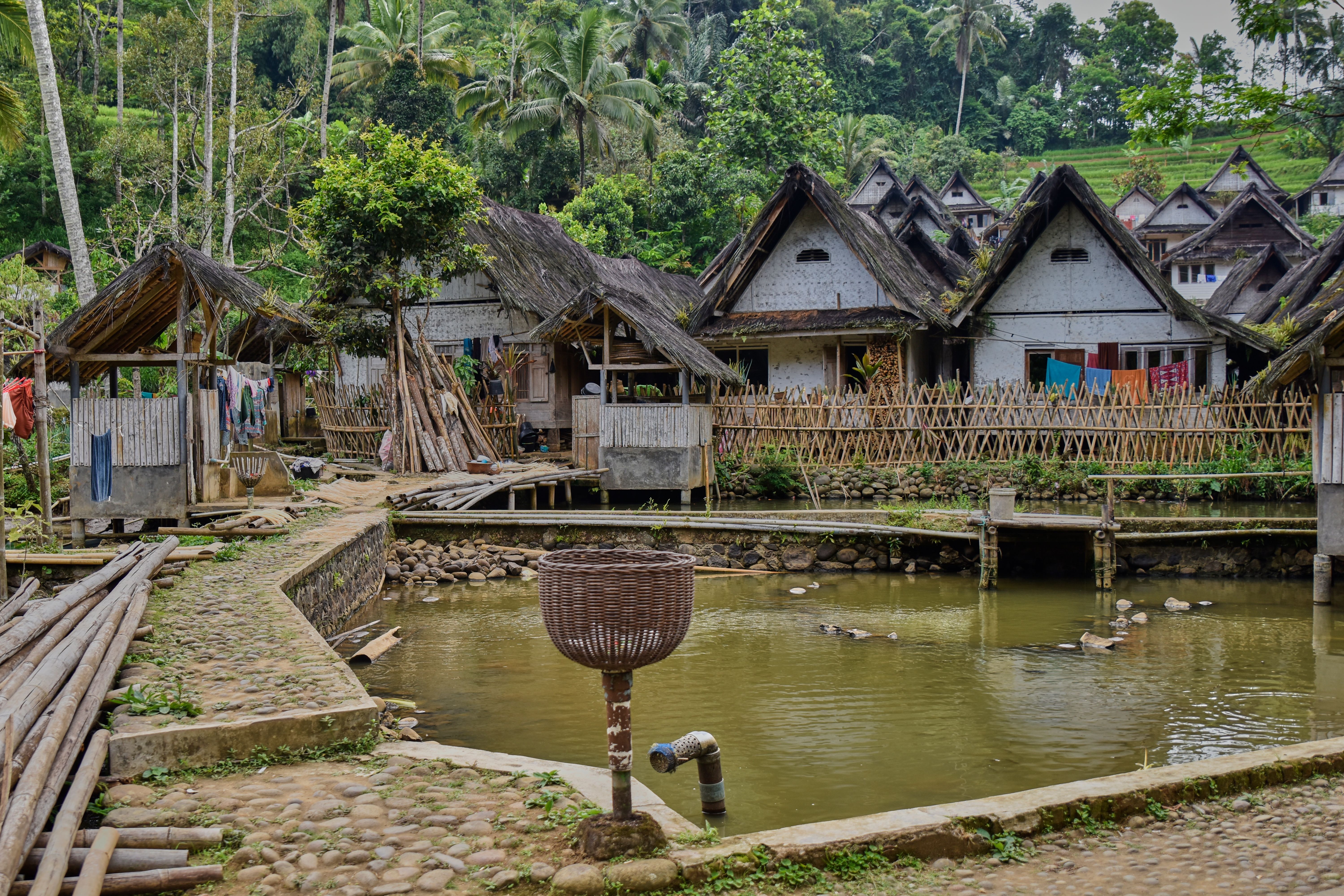 Traditional thatched-roof village houses beside a pond in a rural Southeast Asian setting